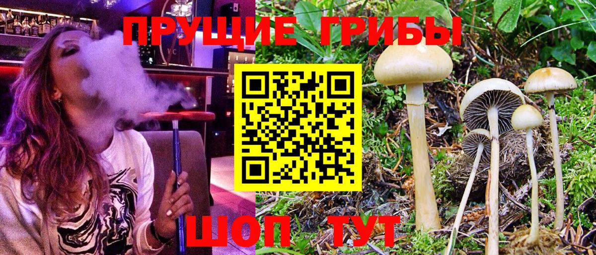 Галлюциногенные грибы мухоморы Кузнецк